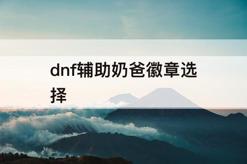 dnf辅助奶爸徽章选择