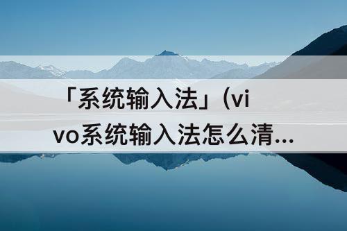 「系统输入法」(vivo系统输入法怎么清除记忆)