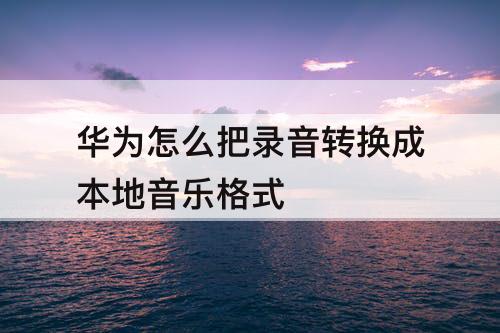 华为怎么把录音转换成本地音乐格式