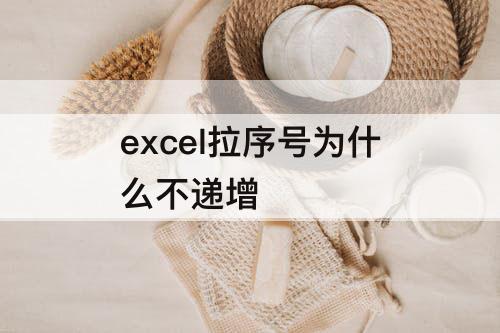 excel拉序号为什么不递增
