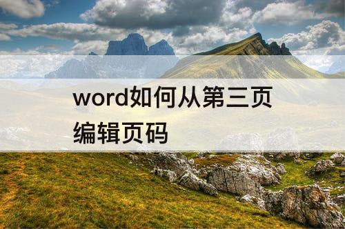 word如何从第三页编辑页码