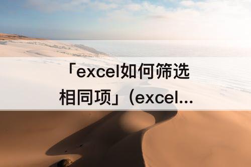 「excel如何筛选相同项」(excel如何筛选相同项目)