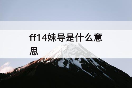 ff14妹导是什么意思