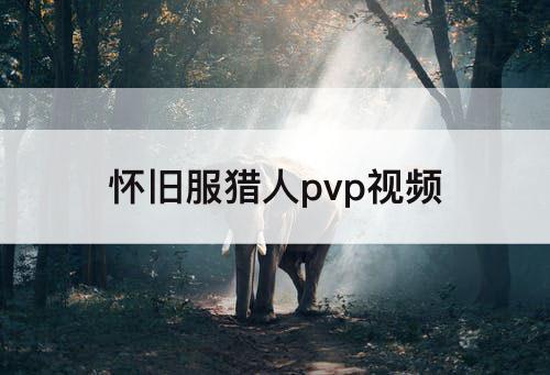 怀旧服猎人pvp视频