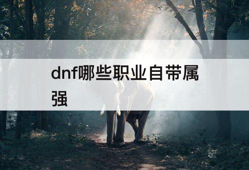 dnf哪些职业自带属强