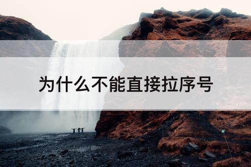 为什么不能直接拉序号
