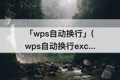 「wps自动换行」(wps自动换行excel里面哪个键)