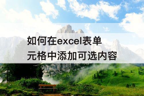 如何在excel表单元格中添加可选内容
