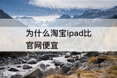 为什么淘宝ipad比官网便宜