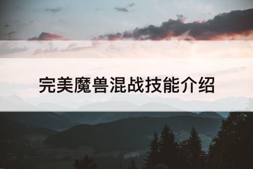 完美魔兽混战技能介绍