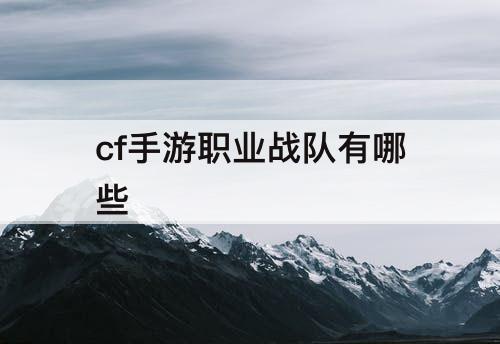 cf手游职业战队有哪些