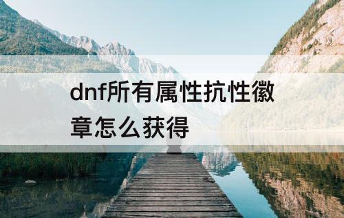 dnf所有属性抗性徽章怎么获得