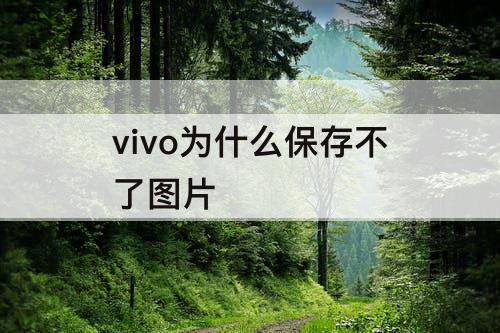 vivo为什么保存不了图片