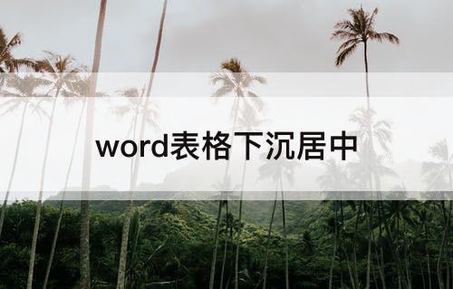 word表格下沉居中