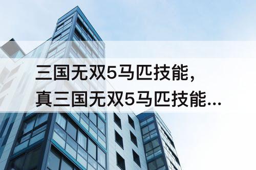 三国无双5马匹技能，真三国无双5马匹技能介绍
