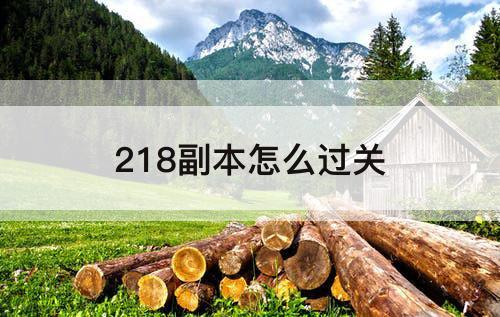 218副本怎么过关