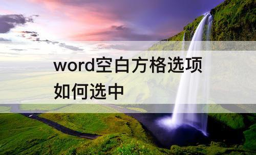 word空白方格选项如何选中