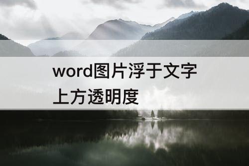 word图片浮于文字上方透明度