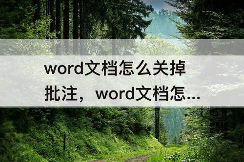 word文档怎么关掉批注，word文档怎么关掉批注模式