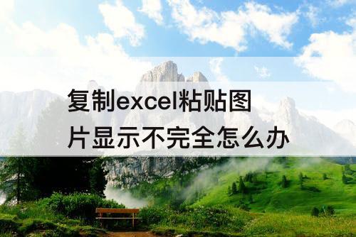 复制excel粘贴图片显示不完全怎么办