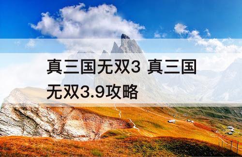 真三国无双3 真三国无双3.9攻略
