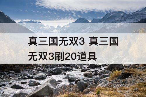 真三国无双3 真三国无双3刷20道具