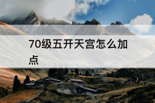 70级五开天宫怎么加点
