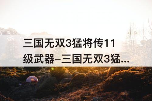 三国无双3猛将传11级武器-三国无双3猛将传11级武器属性