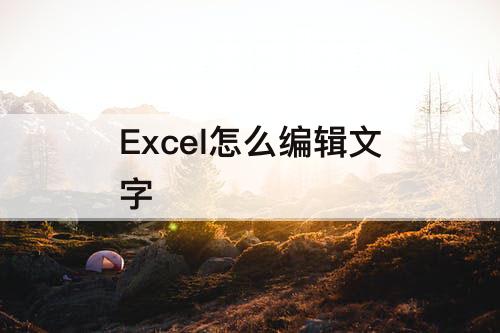 Excel怎么编辑文字