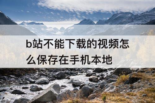 b站不能下载的视频怎么保存在手机本地