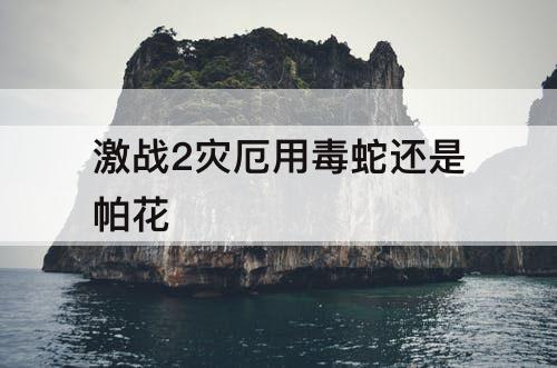 激战2灾厄用毒蛇还是帕花