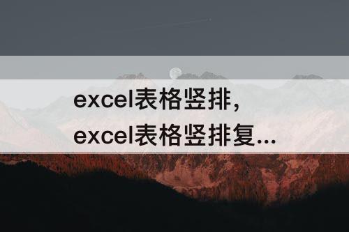 excel表格竖排，excel表格竖排复制统一数据
