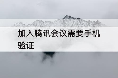 加入腾讯会议需要手机验证