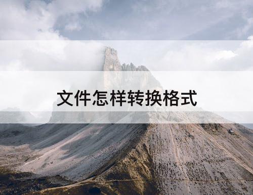 文件怎样转换格式