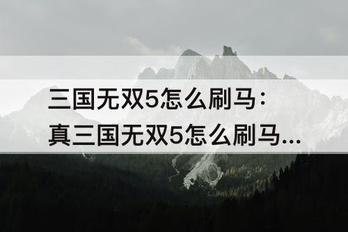 三国无双5怎么刷马：真三国无双5怎么刷马需要什么难度