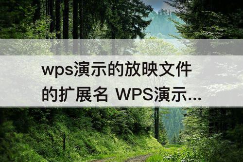 wps演示的放映文件的扩展名 WPS演示的放映文件的扩展名是