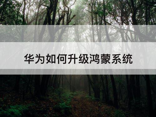 华为如何升级鸿蒙系统