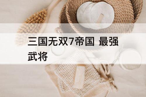 三国无双7帝国 最强武将