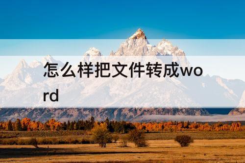 怎么样把文件转成word