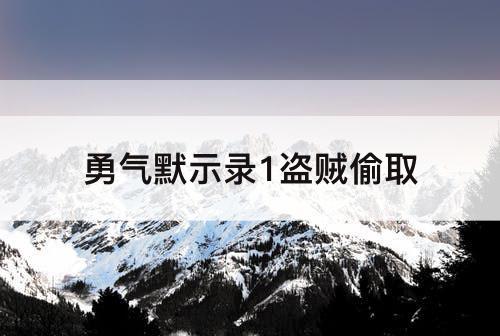 勇气默示录1盗贼偷取