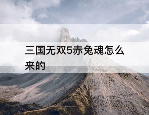 三国无双5赤兔魂怎么来的