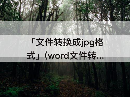 「文件转换成jpg格式」(word文件转换成jpg格式)