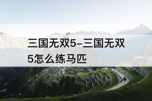 三国无双5-三国无双5怎么练马匹