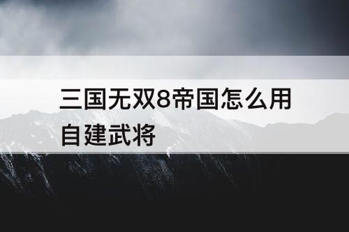 三国无双8帝国怎么用自建武将