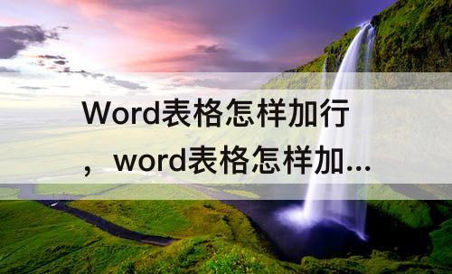 Word表格怎样加行，word表格怎样加行列