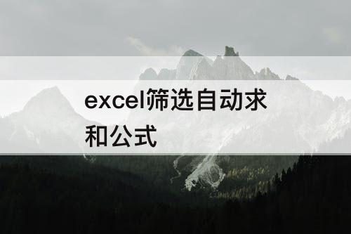 excel筛选自动求和公式