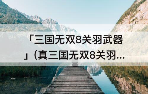 「三国无双8关羽武器」(真三国无双8关羽武器宝玉一级)