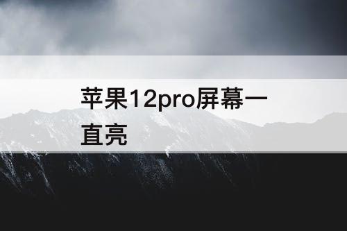 苹果12pro屏幕一直亮