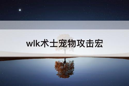 wlk术士宠物攻击宏