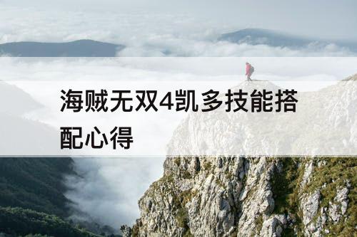海贼无双4凯多技能搭配心得